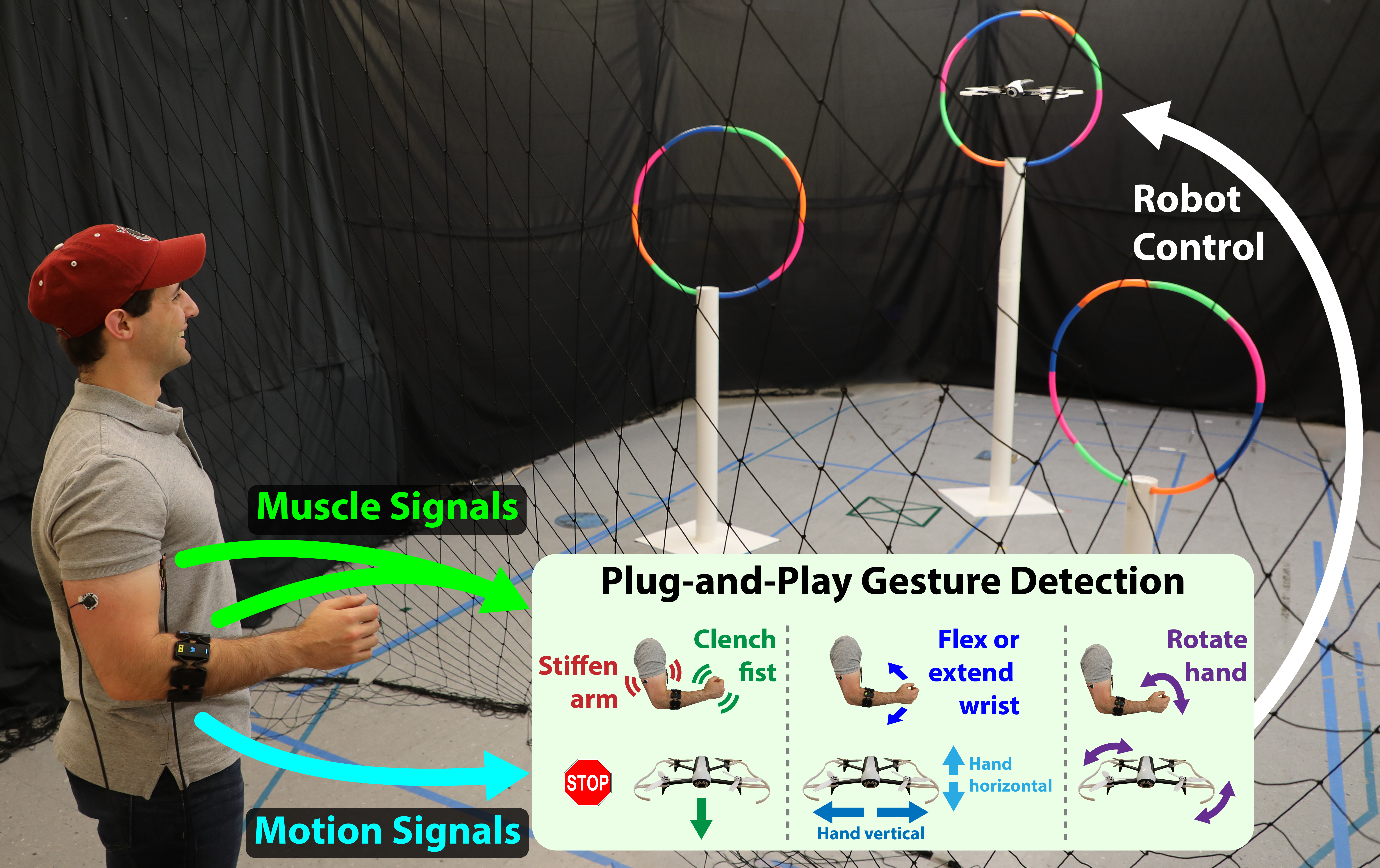 Plug-and-Play Gesture Control Using Muscle and Motion Sensors