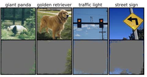Photos of a panda, golden retriever, traffic lights, and street sign, each paired with a mostly gray image that shows just the edges of the paired photo