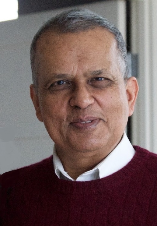 Amar Gupta