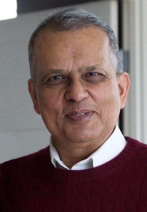 Amar Gupta
