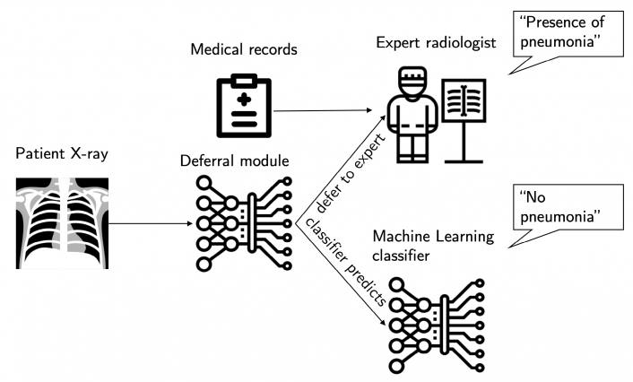 The system either queries the expert to diagnose the patient based on their chest X-ray and medical records, or makes the diagnosis itself by solely looking at their X-ray