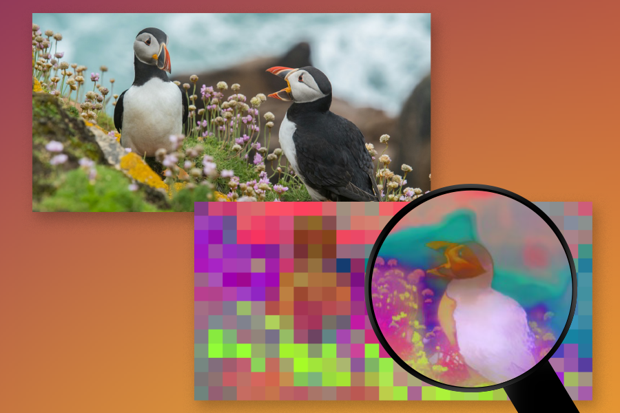 FeatUp is an algorithm that upgrades the resolution of deep networks for improved performance in computer vision tasks such as object recognition, scene parsing, and depth measurement (Credits: Mark Hamilton and Alex Shipps/MIT CSAIL, top image via Unsplash).