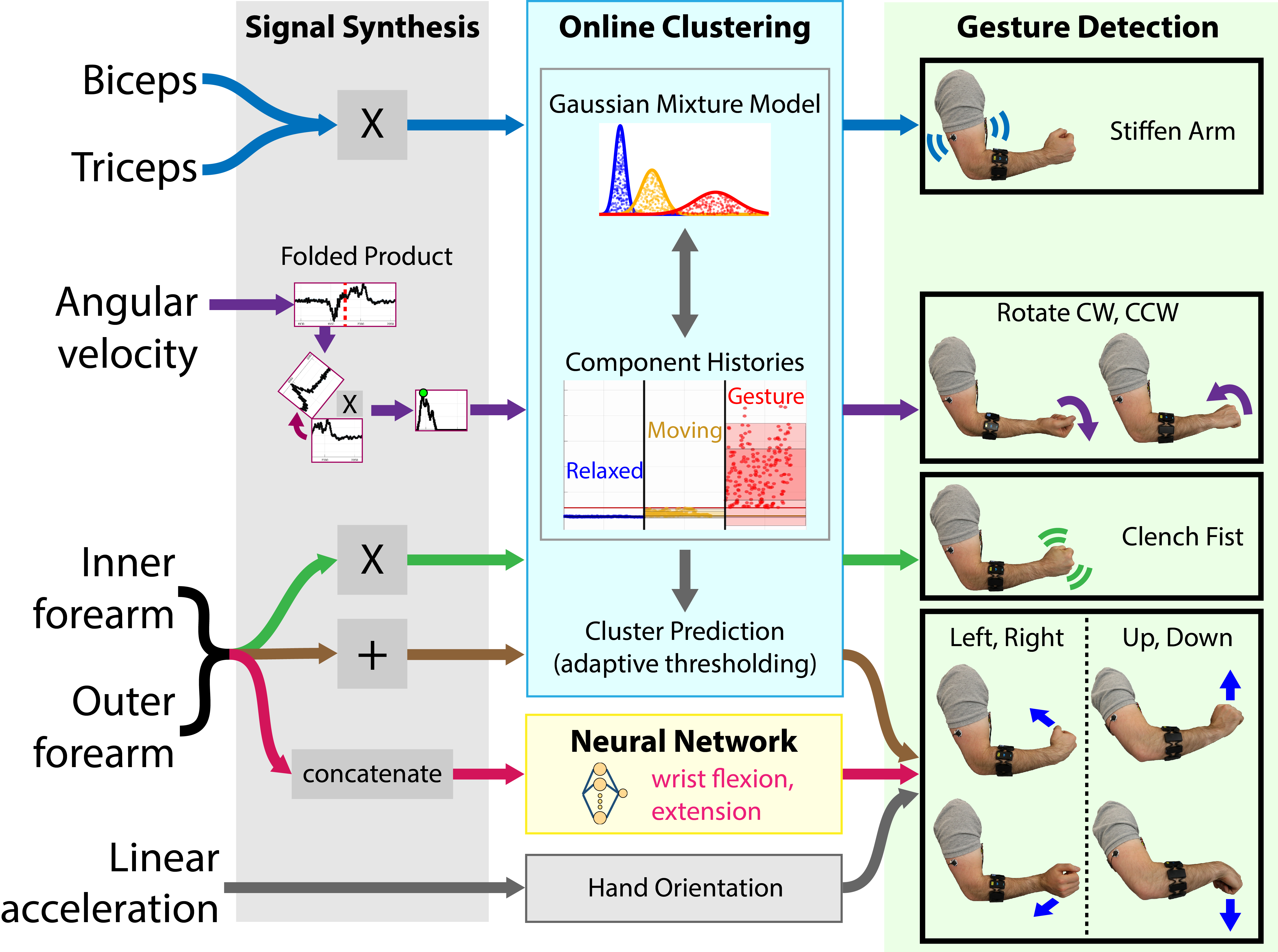 Unsupervised and supervised machine learning pipelines classify 8 gestures from 3 wearable muscle and motion sensors