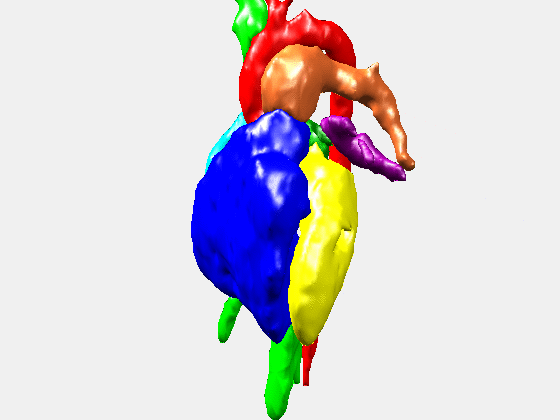 Dynamic Heart Surface Model