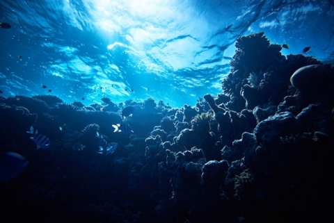 Underwater_stock1 