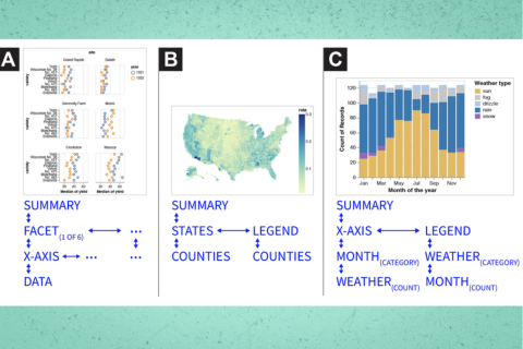 Data visualizations 