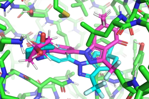 Model of colorful drug molecules, including protein pocket (green), working with deep-learning modelEquiBind (cyan)