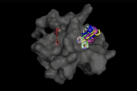 DiffDock generates a series of potential poses for protein-ligand binding, an approach that could lead to dramatic changes in the traditional drug development pipeline. The colored molecules are protein molecules binding to another protein (in gray).