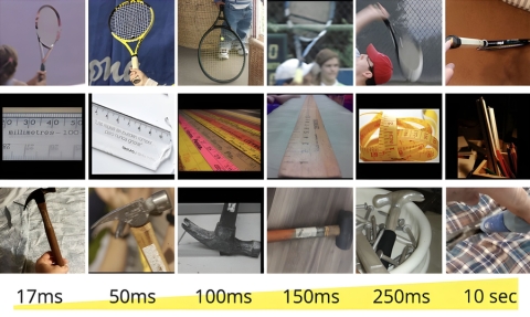 MVT, minimum viewing time, is a dataset difficulty metric measuring the minimum presentation time required for an image to be recognized. Researchers hope this metric will be used to evaluate models' performance and biological plausibility and guide the creation of new more difficult datasets, leading to new computer vision techniques that perform better in real life (Credits: The researchers/MIT CSAIL).