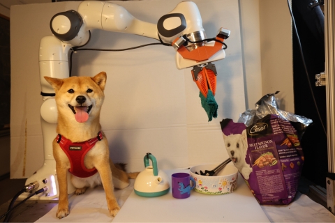 Researchers filmed multiple instances of a robotic arm feeding co-author Jialiang Zhao's adorable dog, Momo. The videos were included in datasets to train the robot (Credits: Courtesy of the researchers).