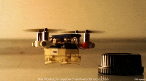 The "Flying Monkey" robot is a triple threat: it walks, flies, and grasps.