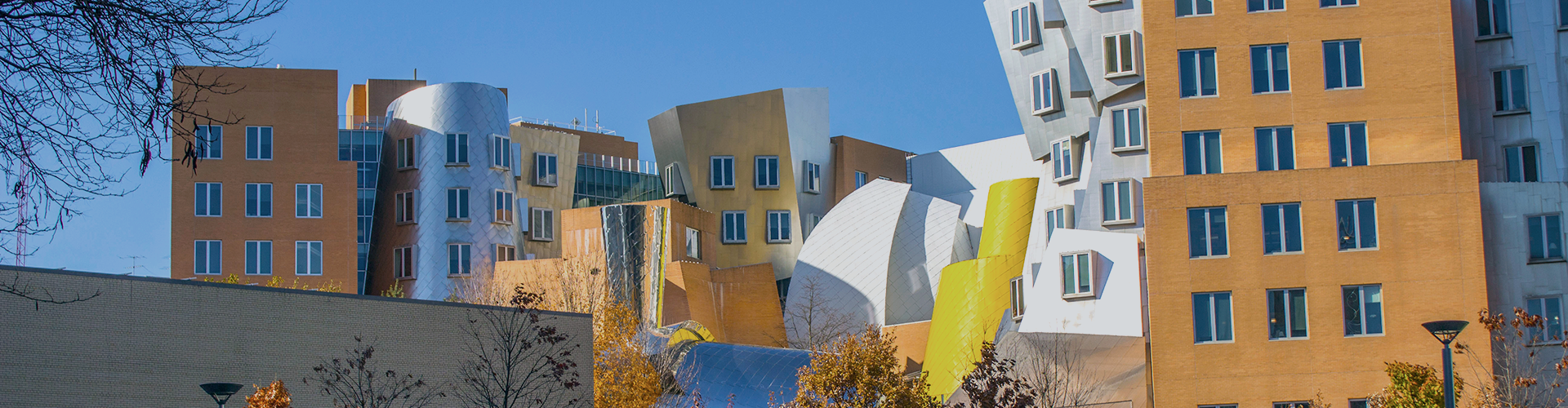 Stata Center, MIT